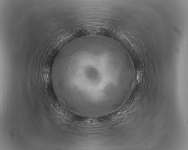 X0000112010867200908031305