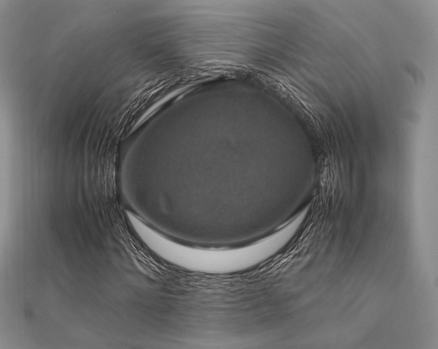 X0000112010868200908031305