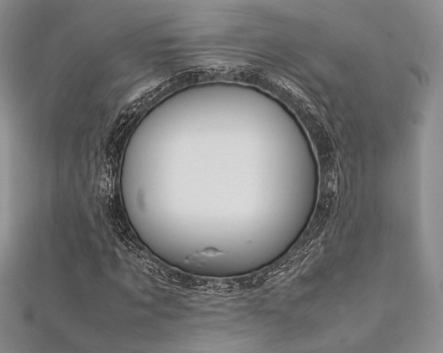 X0000112010869200908031305
