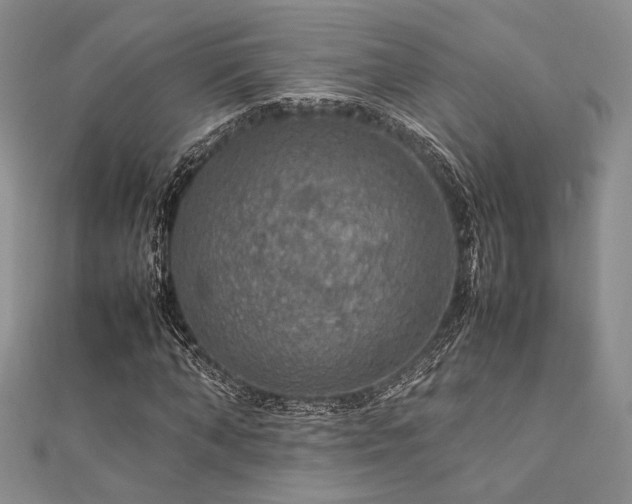 X0000112010870200908031305