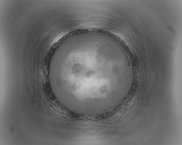 X0000112010871200908031305