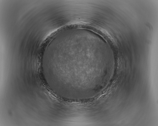 X0000112010872200908031305
