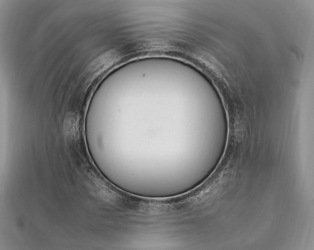 X0000112010873200908031305