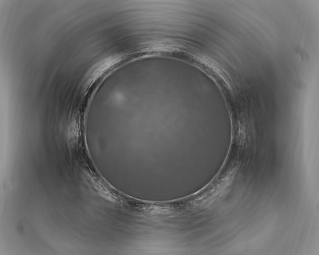X0000112010874200908031305