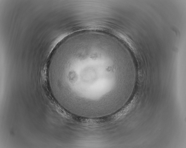 X0000112010875200908031305