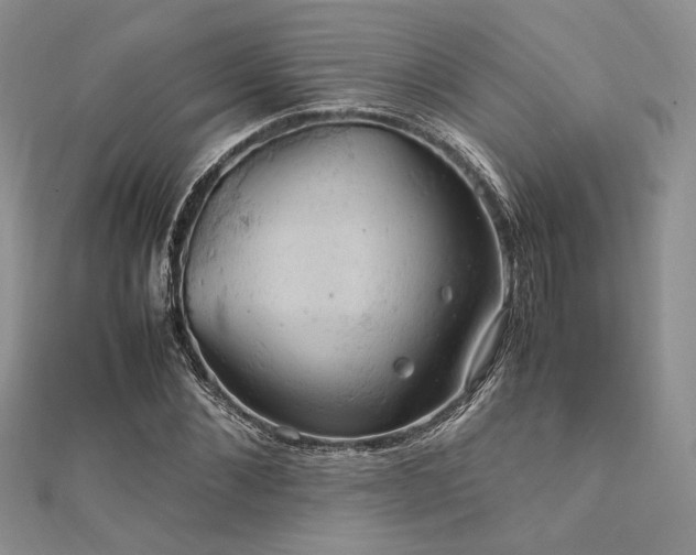 X0000112010876200908031305