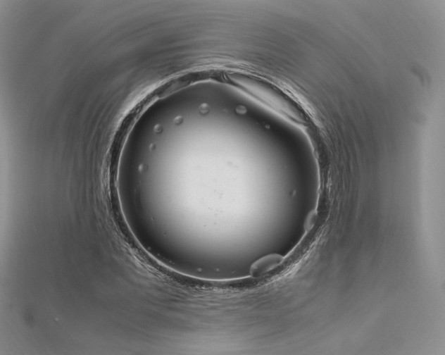 X0000112010877200908031305