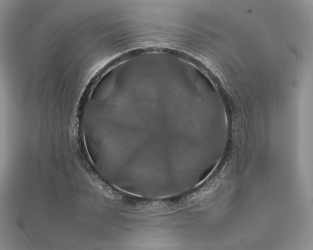X0000112010879200908031305