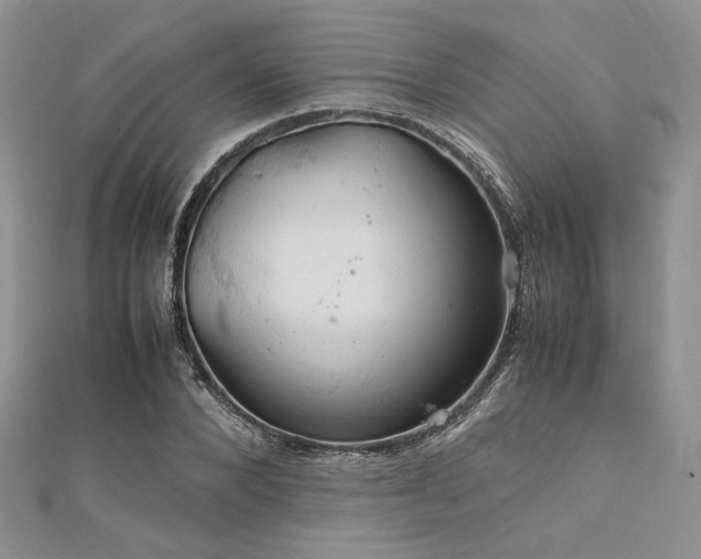 X0000112010880200908031305
