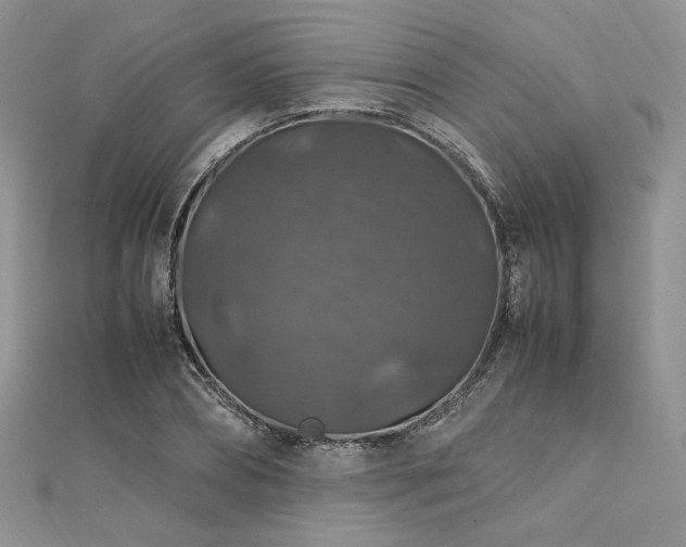 X0000112010882200908031305