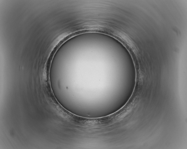 X0000112010883200908031305
