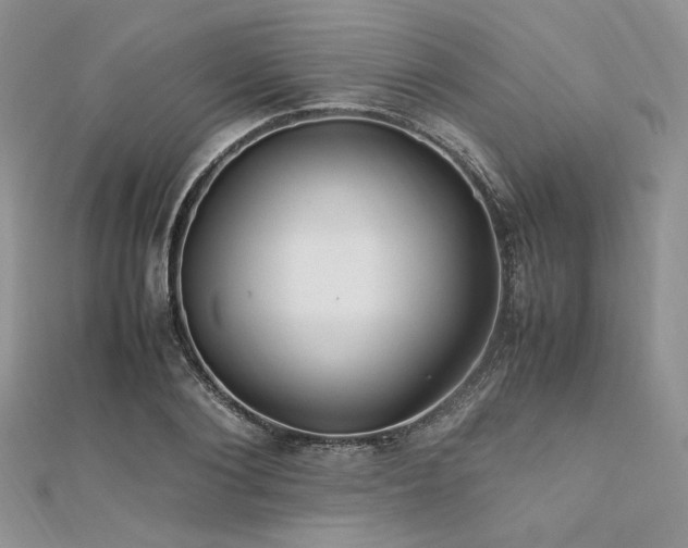 X0000112010884200908031305