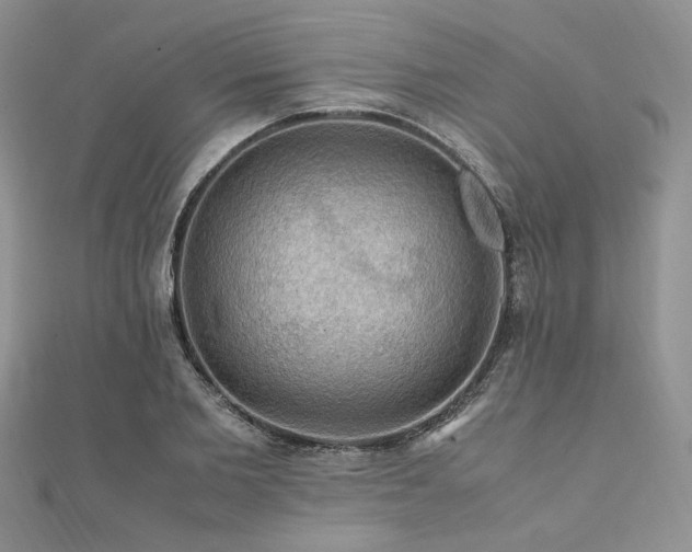 X0000112010885200908031305