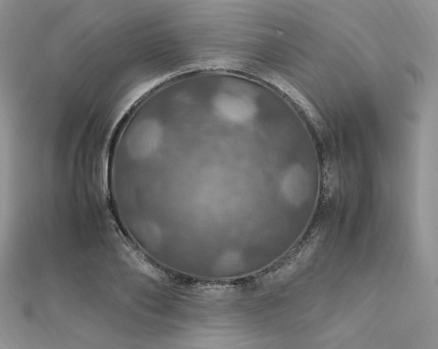 X0000112010886200908031305