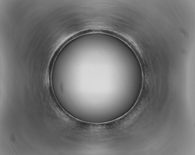 X0000112010887200908031304