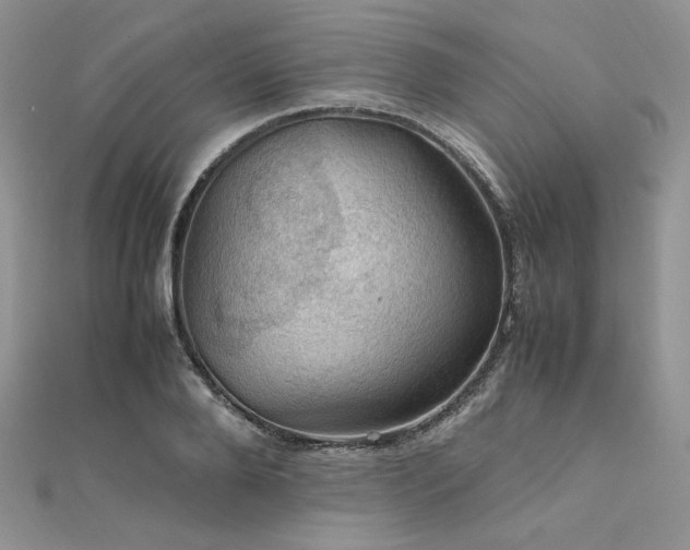 X0000112010888200908031304