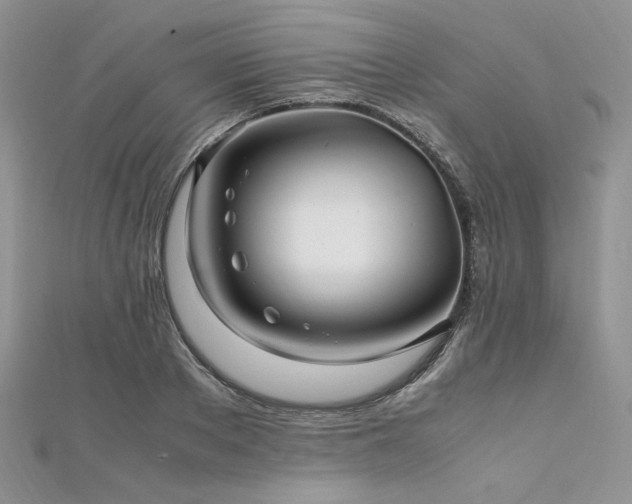 X0000112010889200908031304