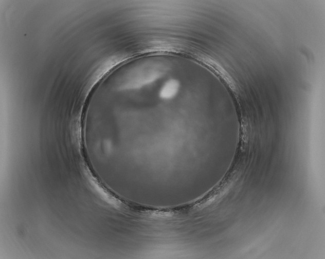 X0000112010890200908031304