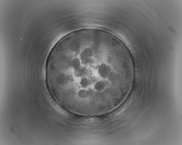 X0000112010891200908031304
