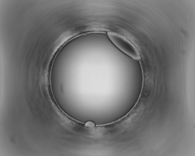 X0000112010893200908031304