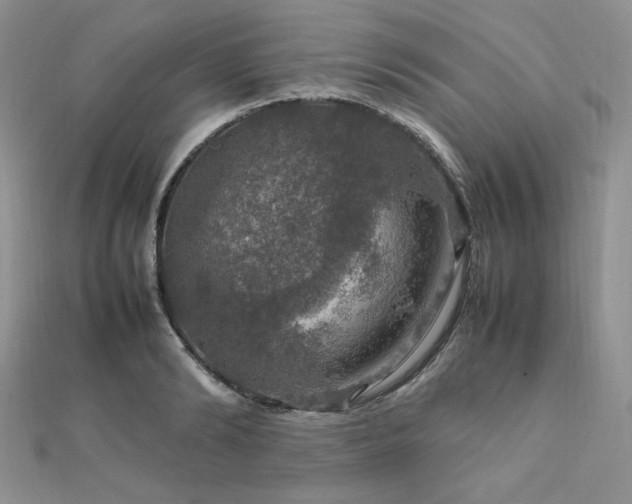 X0000112010894200908031304