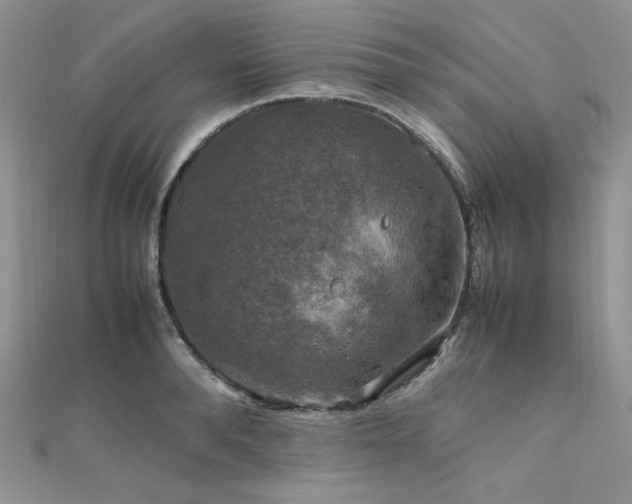 X0000112010896200908031304