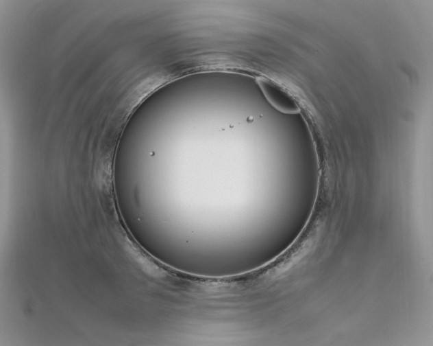 X0000112010897200908031304