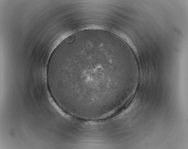 X0000112010898200908031304