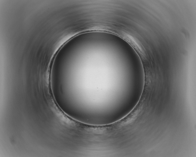X0000112010900200908031304