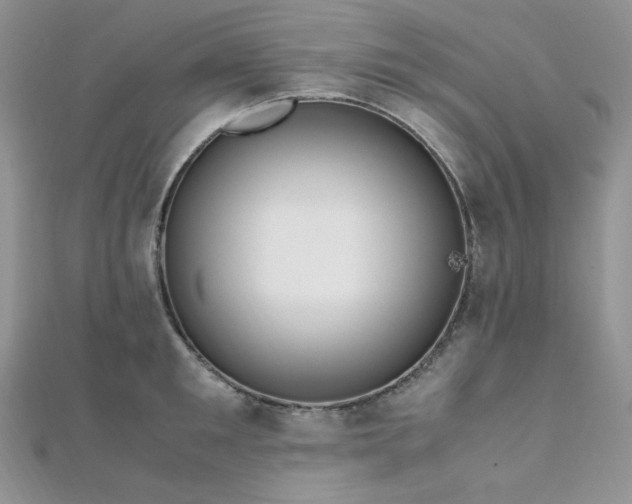 X0000112010901200908031304