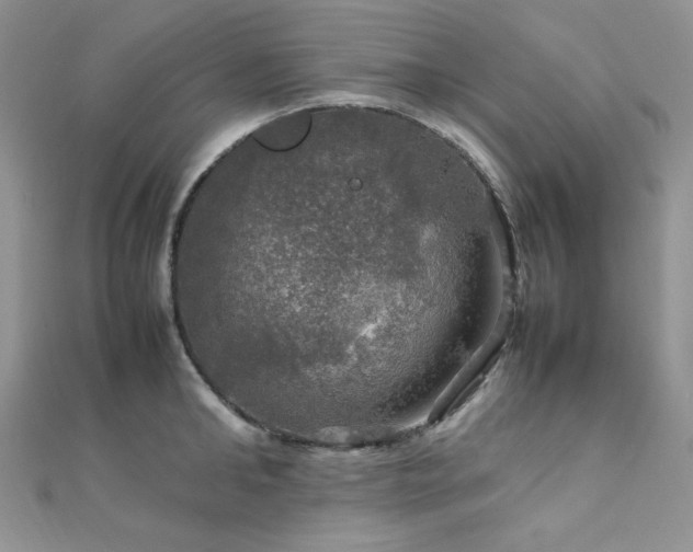 X0000112010902200908031304