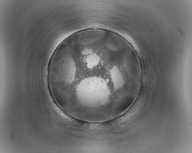 X0000112010903200908031304