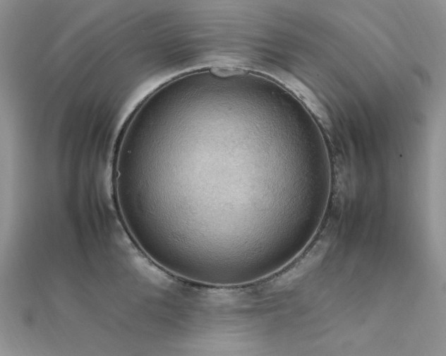 X0000112010904200908031304