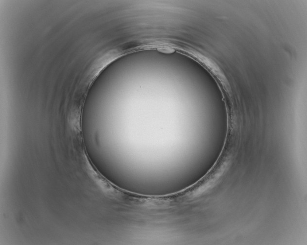 X0000112010905200908031304