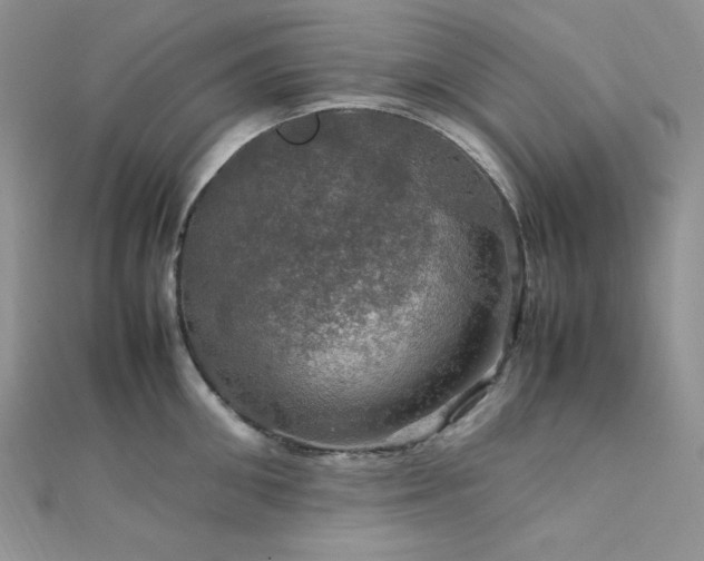 X0000112010906200908031304