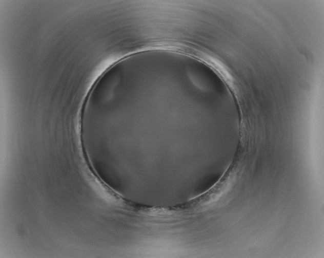 X0000112010907200908031304