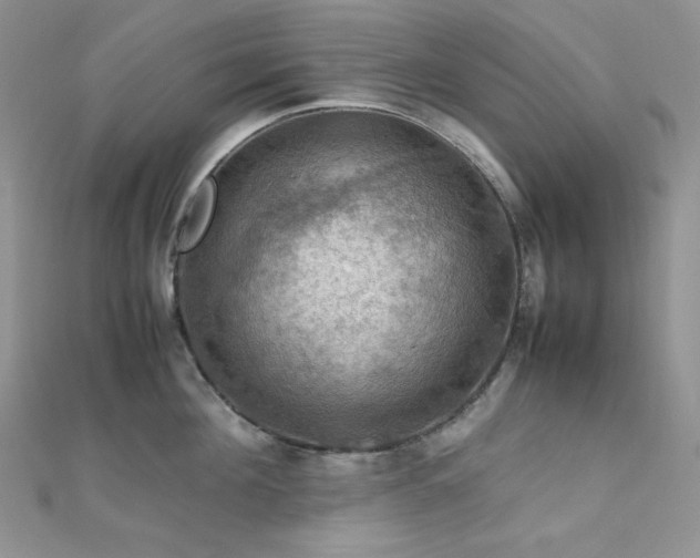 X0000112010908200908031304