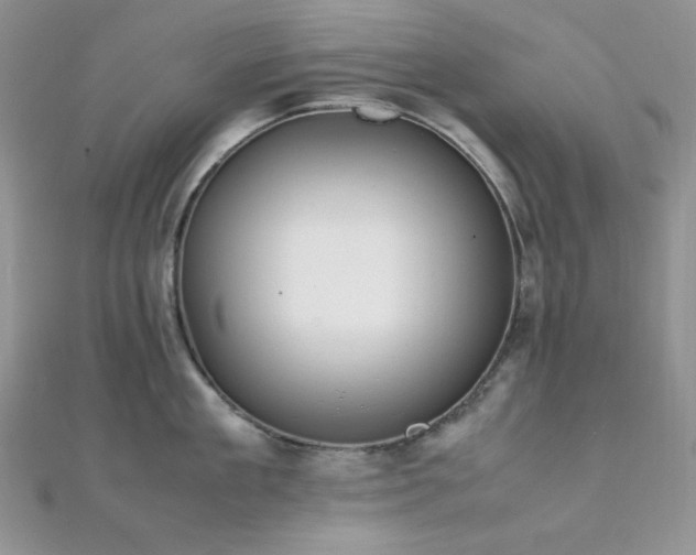 X0000112010909200908031304