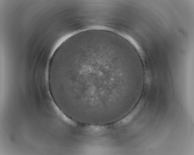 X0000112010910200908031304