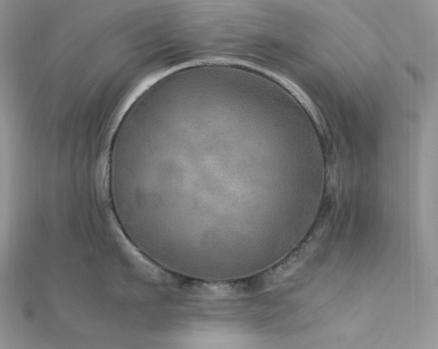 X0000112010911200908031304