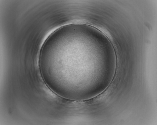 X0000112010912200908031304