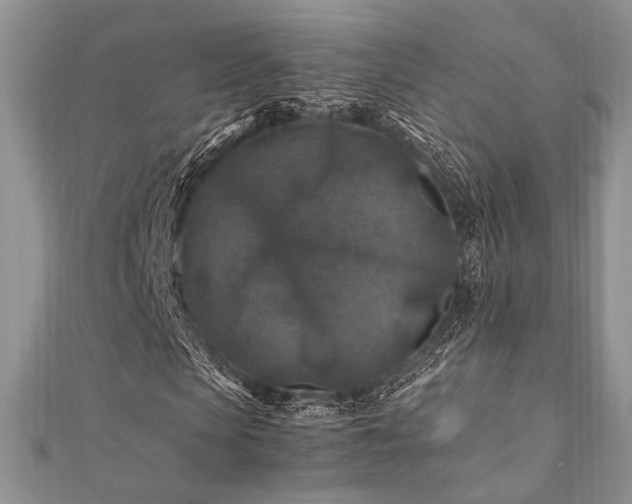 X0000112010913200908031304