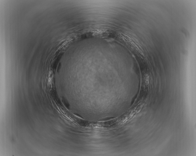 X0000112010914200908031304