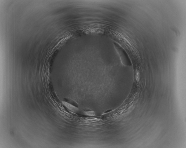 X0000112010915200908031304