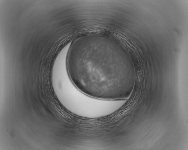 X0000112010916200908031304