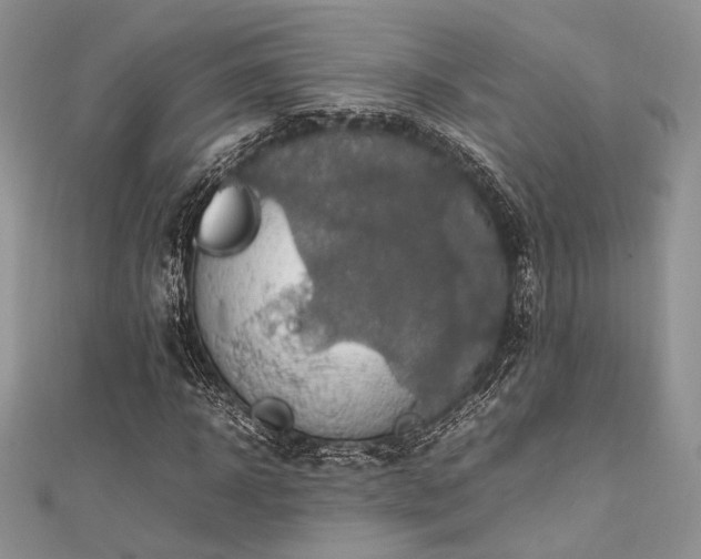 X0000112010918200908031304