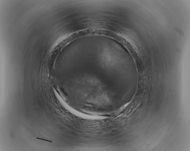 X0000112010919200908031304
