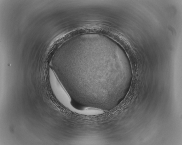 X0000112010920200908031304
