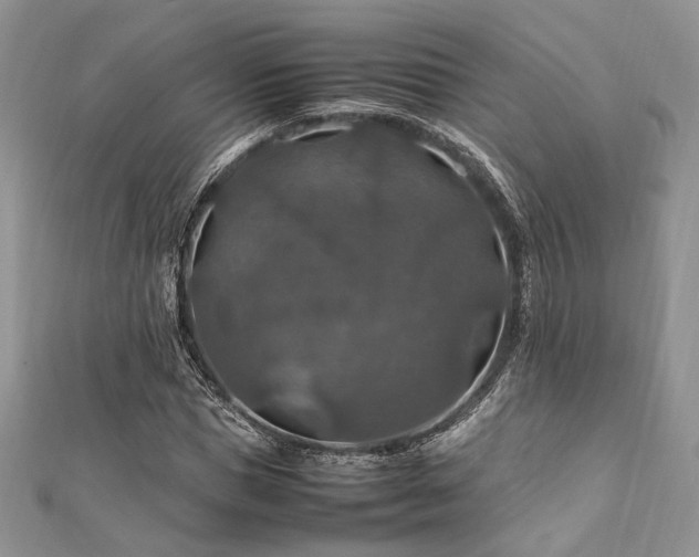 X0000112010921200908031304