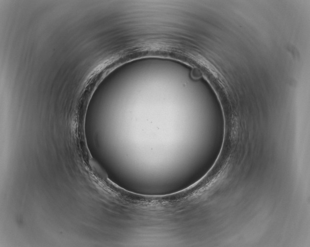 X0000112010922200908031304